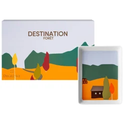 Destination Forest
