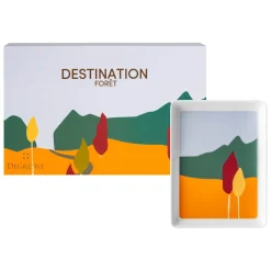 Destination Forest