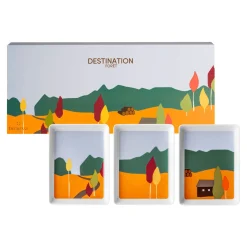 Destination Forest