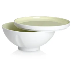 The Green Artichoke Economer's Crockery